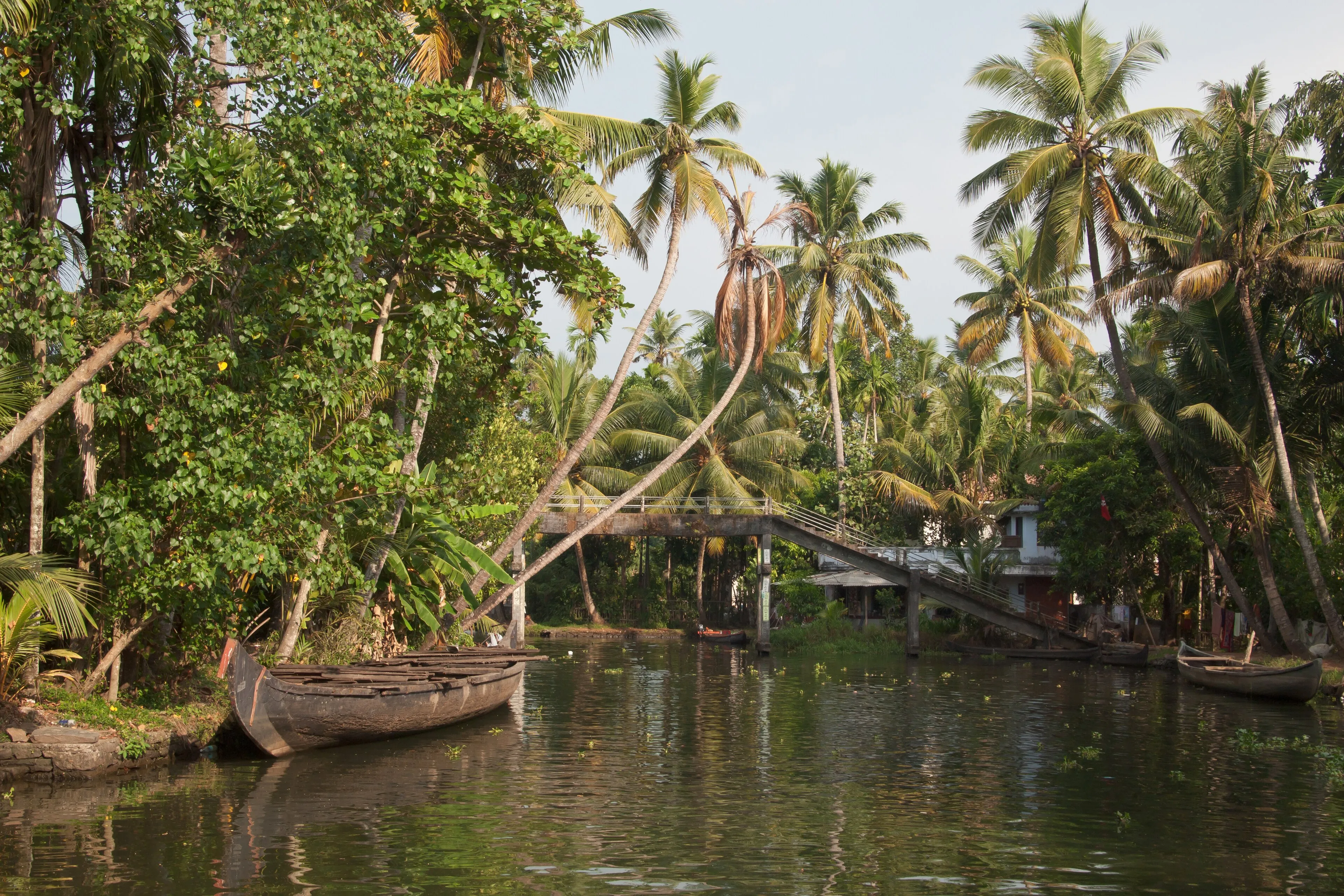 Traditional Kerala backwater village life with a country canoe on a narrow palm-lined canal in Alleppey